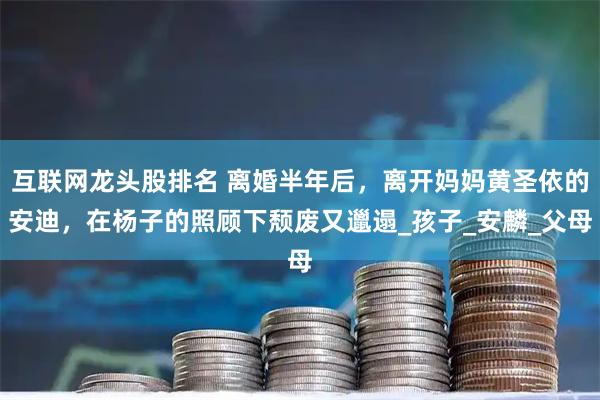 互联网龙头股排名 离婚半年后，离开妈妈黄圣依的安迪，在杨子的照顾下颓废又邋遢_孩子_安麟_父母