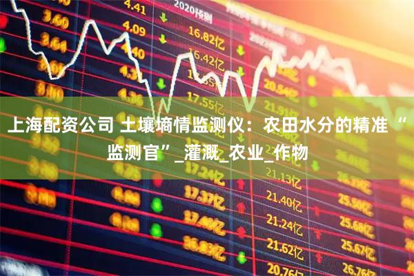 上海配资公司 土壤墒情监测仪：农田水分的精准 “监测官”_灌溉_农业_作物