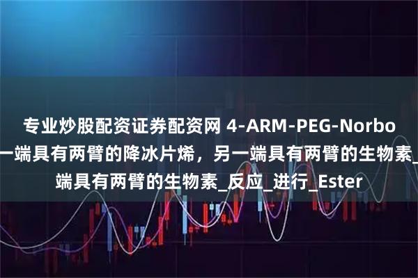 专业炒股配资证券配资网 4-ARM-PEG-Norbornene/Biotin：一端具有两臂的降冰片烯，另一端具有两臂的生物素_反应_进行_Ester